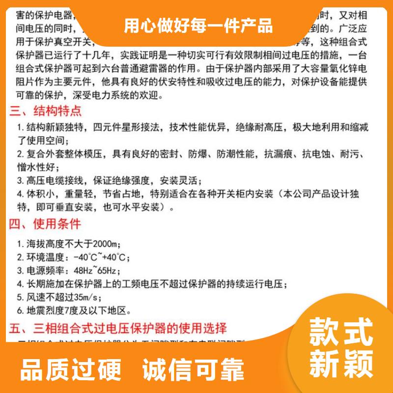 過(guò)電壓保護(hù)器YH5WR-51/150*51/134