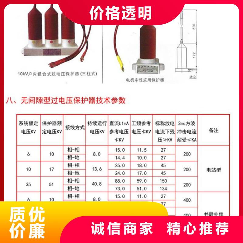 過電壓保護器(組合式避雷器)TBP-C-7.6/131