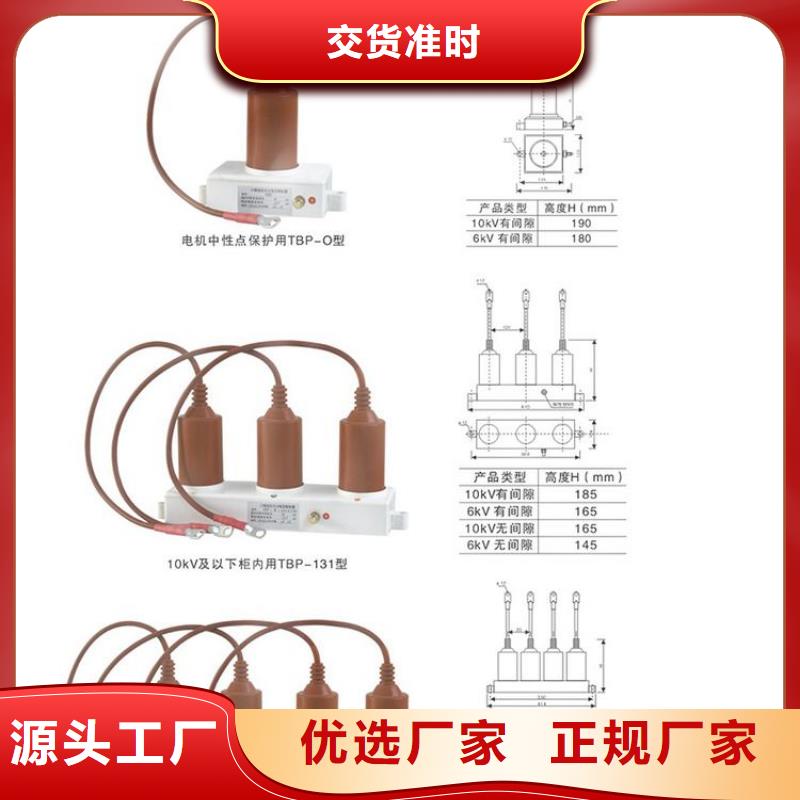 【過電壓保護器/避雷器】TBP-A-10.5/85-J