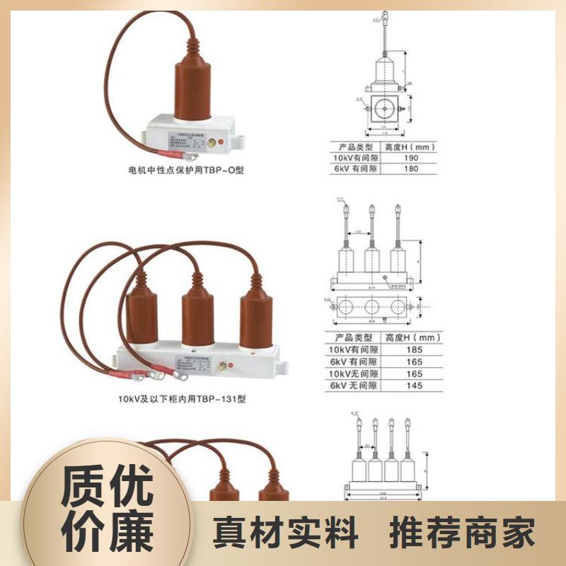 【羿振電力牌】過電壓保護器TBP-C-7.6F/150