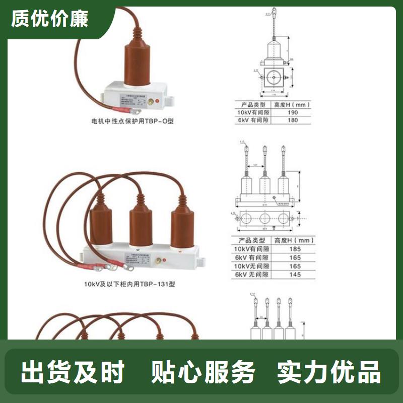 保護器(組合式避雷器)TBP-A-7.6/150-J