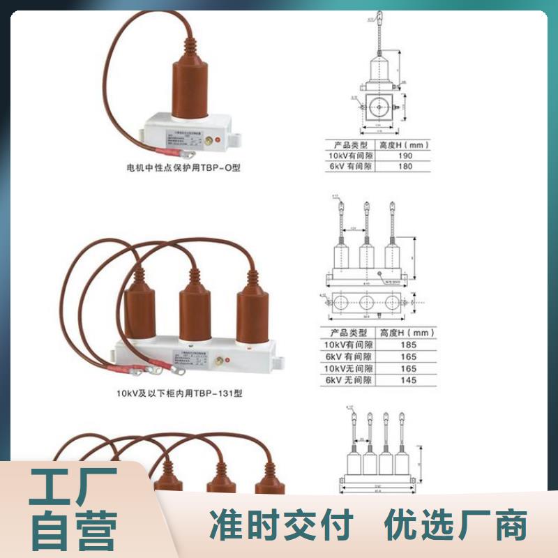 〖過電壓保護器〗TBP-C-42F/280實力廠家