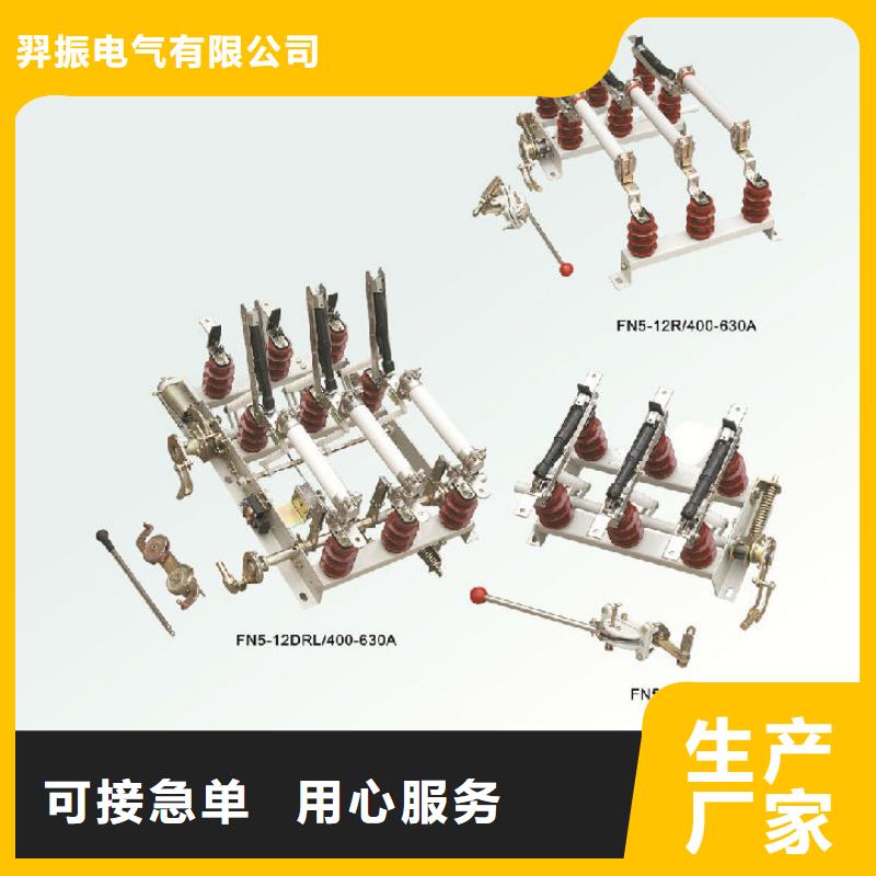高压负荷开关FZRN25-12D/T200_
