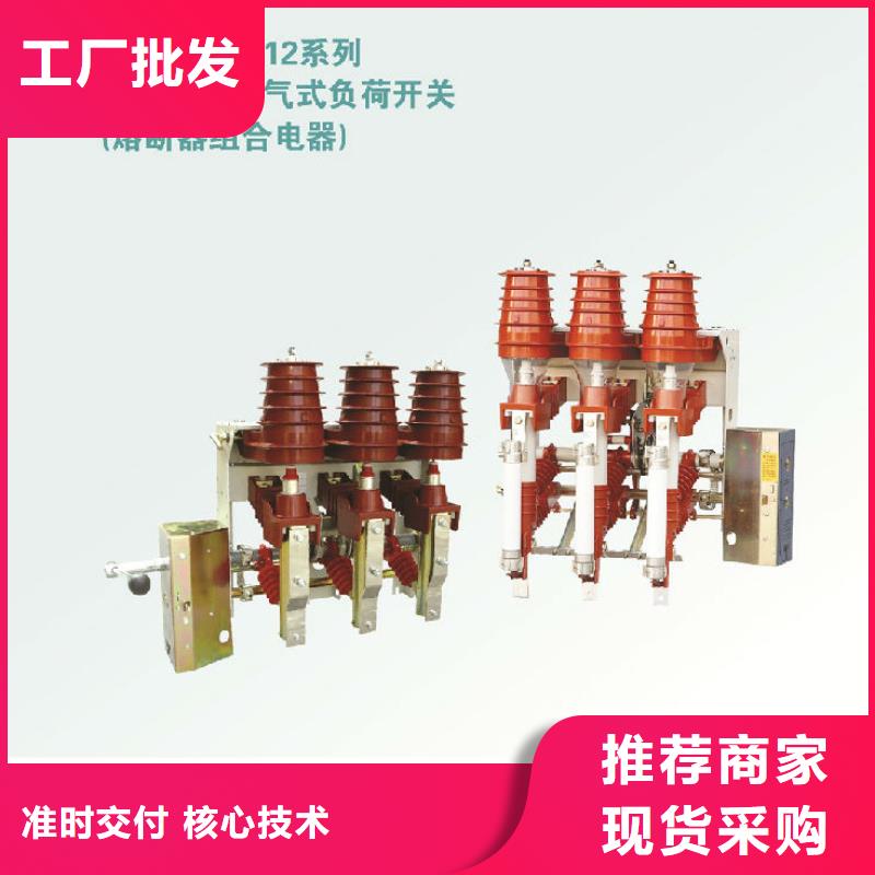 高压负荷开关ZFN23-12D/125-31.5_