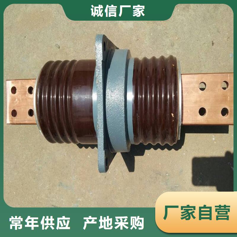 【穿墻套管】CWWL-35KV/2000A-4