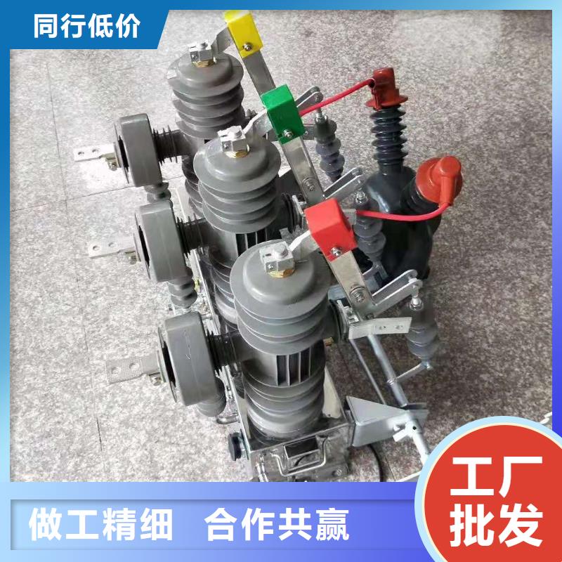 品牌【羿振電氣】高壓斷路器ZW32-12FG/T630-20