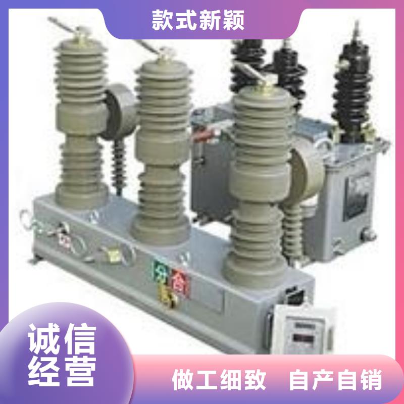 品牌【羿振電氣】永磁真空斷路器ZW32-12GM/630