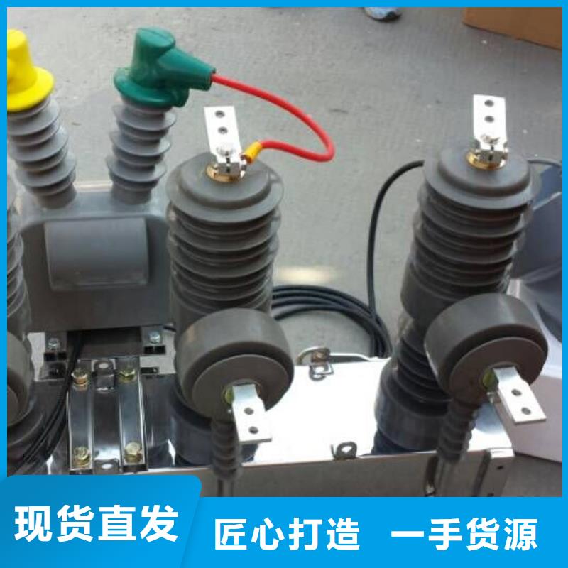 品牌【羿振電氣】斷路器ZW32-12F