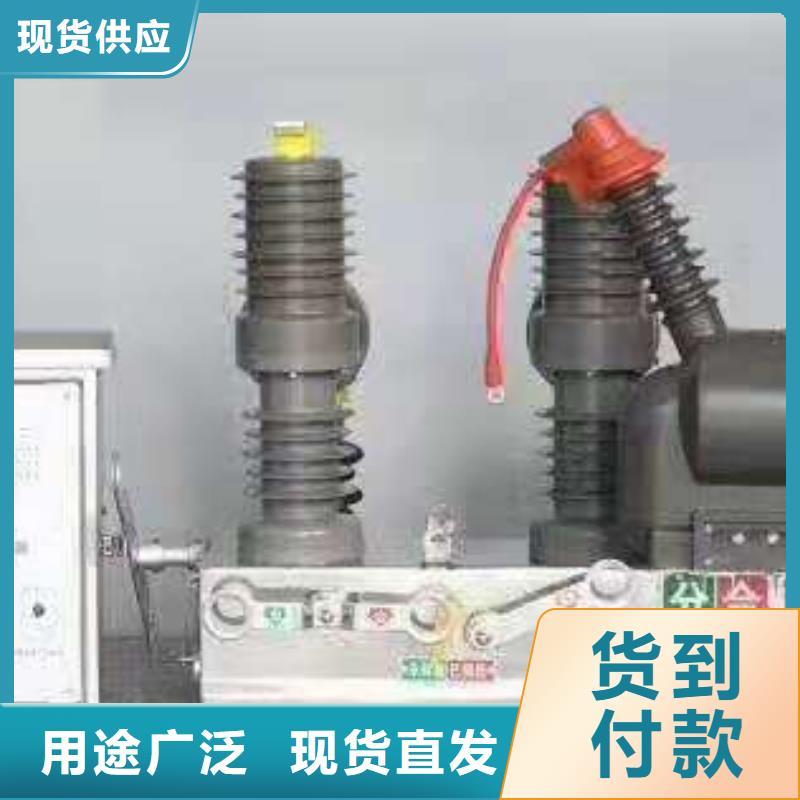 品牌【羿振電氣】柱上斷路器ZW32-12/T630-20