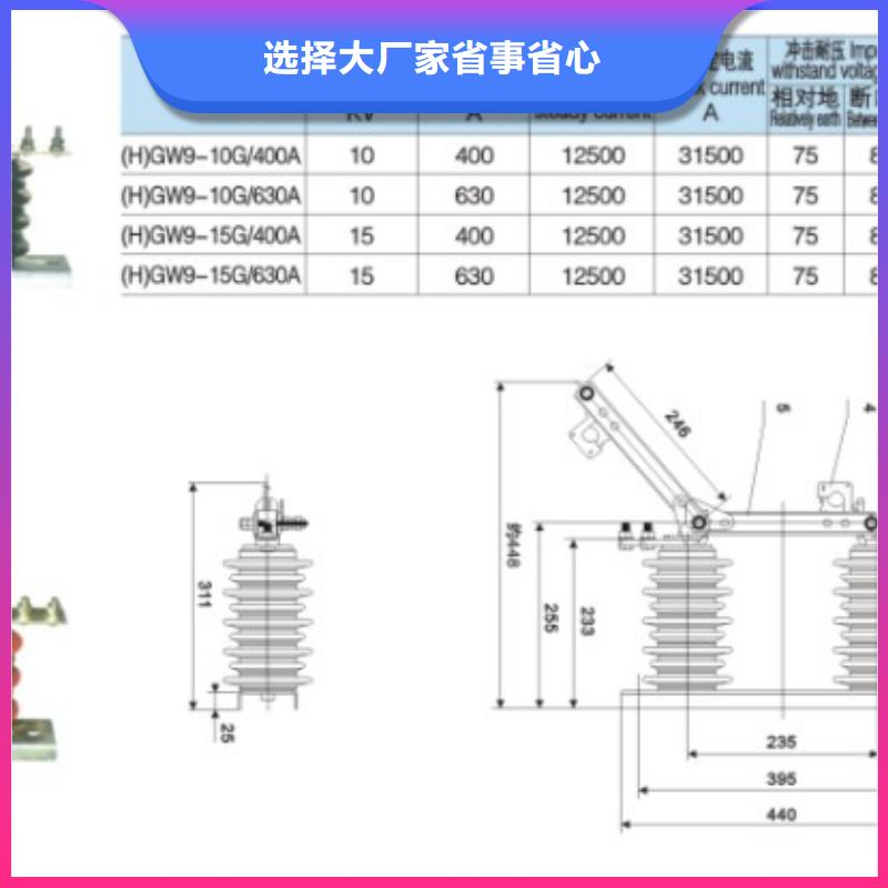 隔離開關GW9-10KV/400