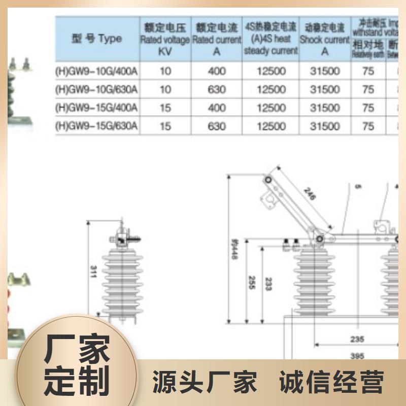 【羿振電氣】高壓隔離開關GW9-15/200