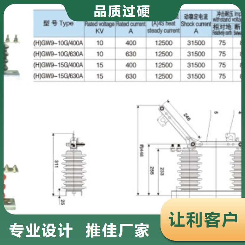 品牌【羿振電氣】HGW9-24/200A隔離刀閘生產廠家