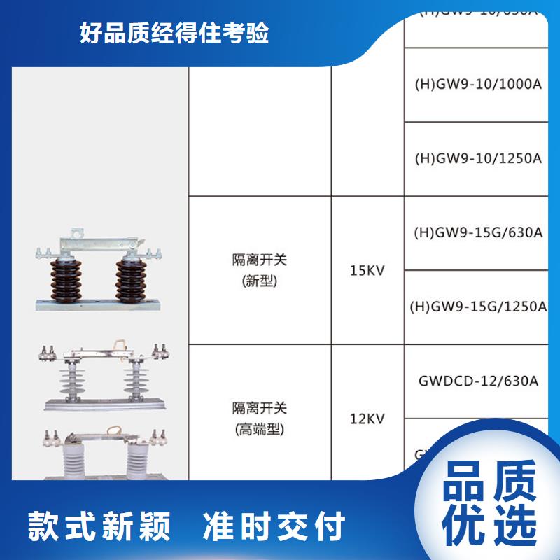 品牌【羿振電氣】HGW9-12KV/1250隔離刀閘生產廠家