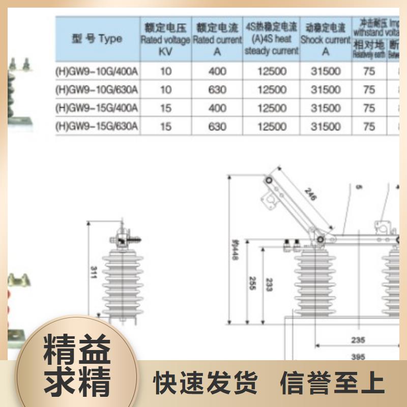 【戶外高壓隔離開關(guān)】HGW9-10-400