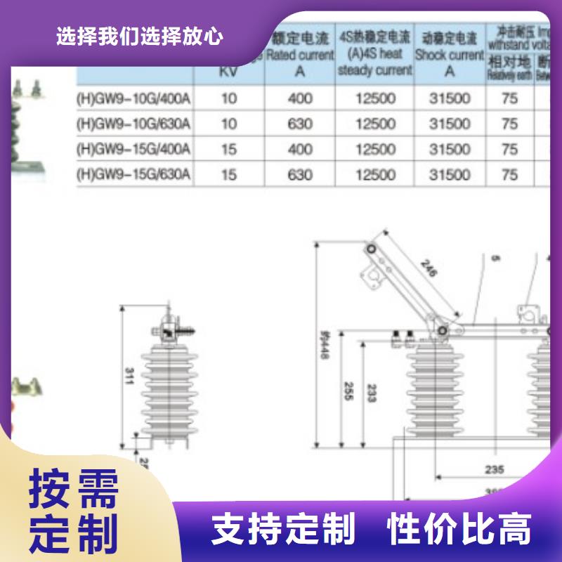 高壓隔離開關GW9-12KV/400