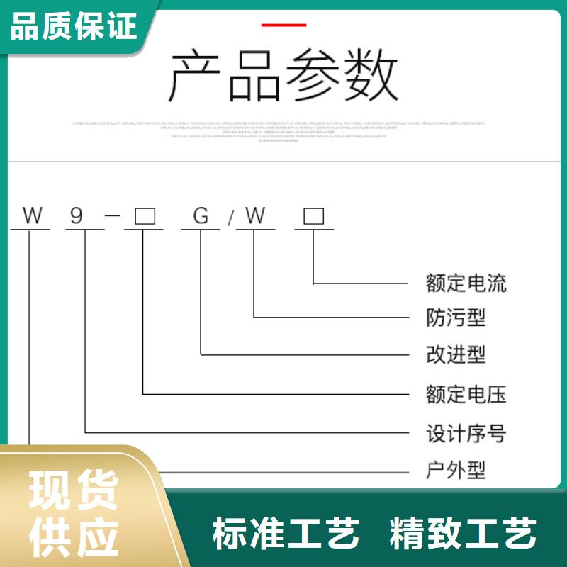 HGW9-12KV/1000A