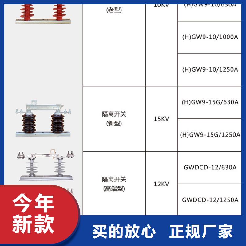 10KV单级隔离开关GW9-10G/1250A