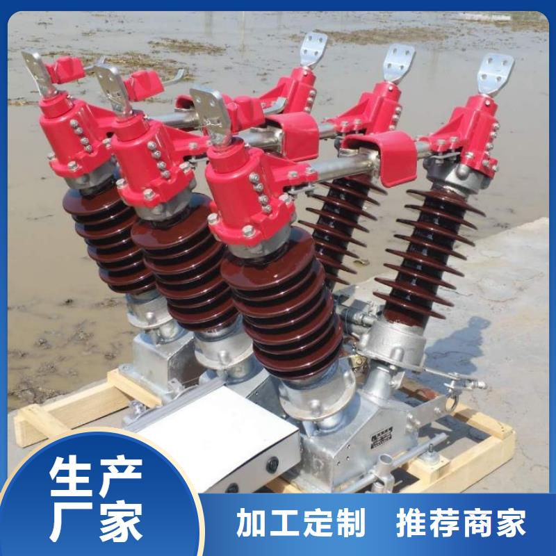 戶(hù)外高壓隔離開(kāi)關(guān)HGW1-10KV/630A