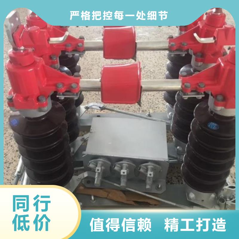 【羿振電氣】高壓隔離開關GW5-40.5D/630A手動單接地防污型完善化