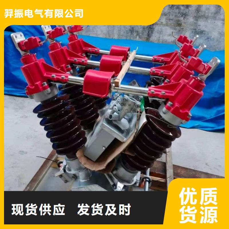 戶外高壓隔離開關HGW1-10KV/630