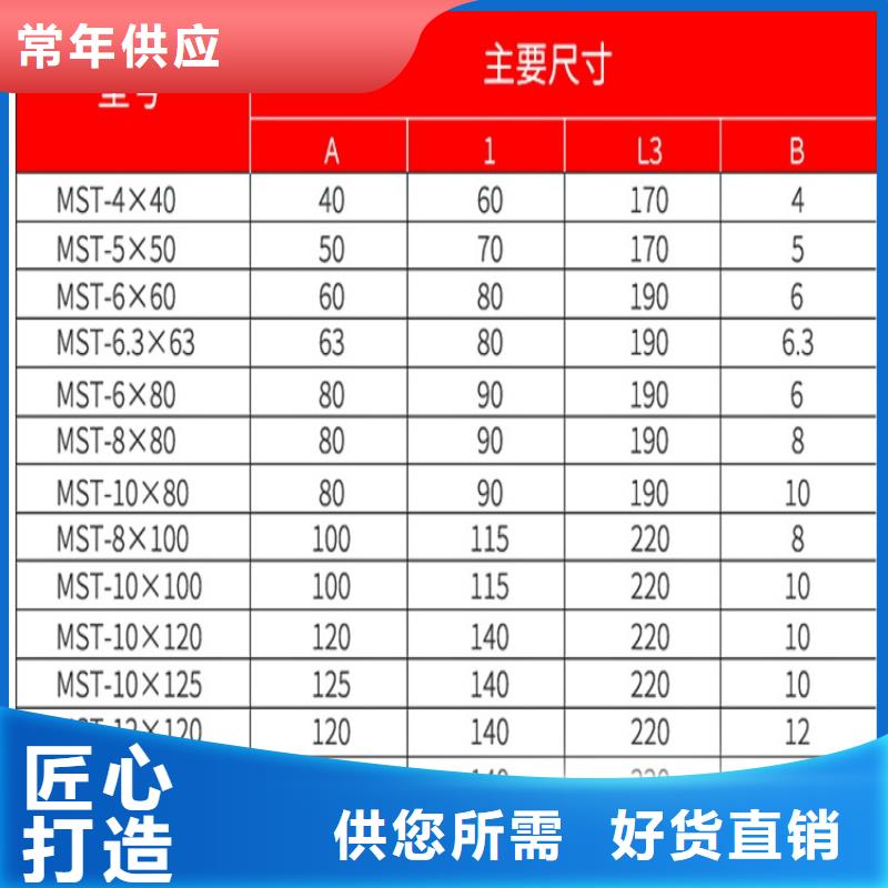 母線伸縮節/軟連接MST-6*80