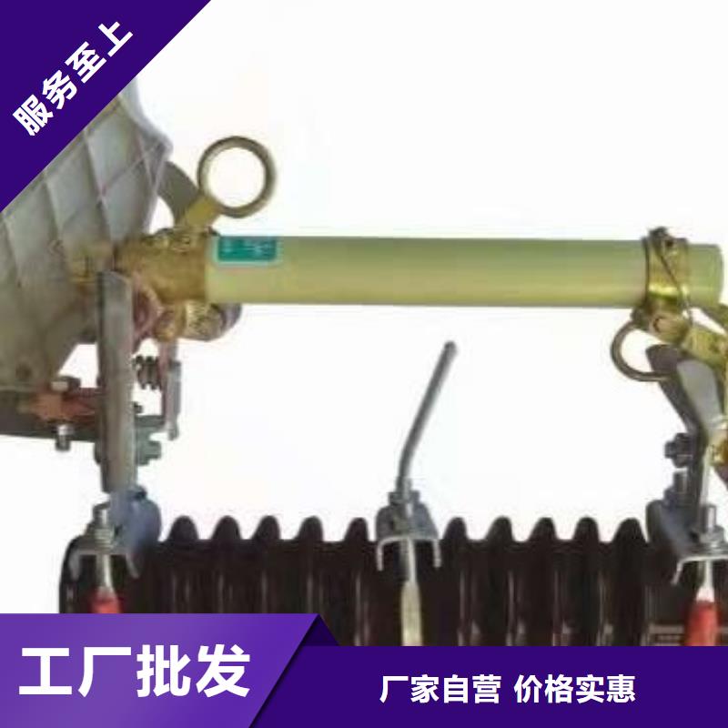 熔断器 真空断路器本地配送