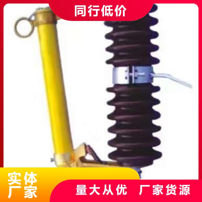 高壓熔斷器/HRW7-10KV/100A.