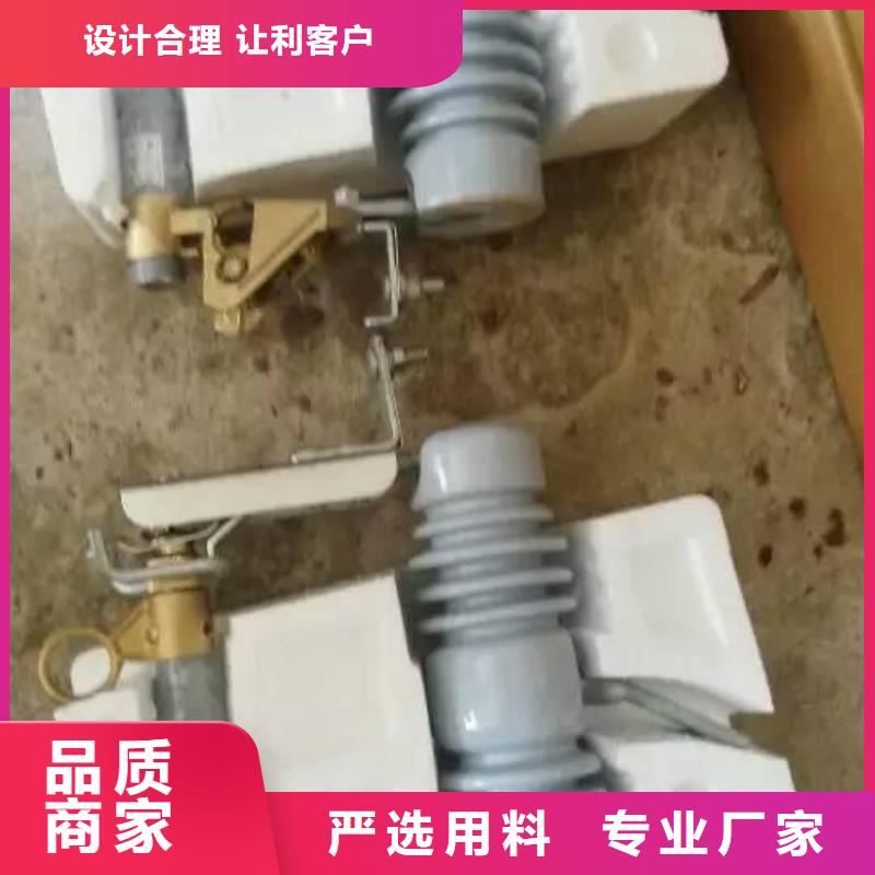 高壓熔斷器/RW7-10/200A