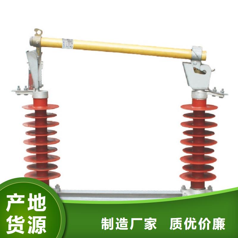 高压熔断器/LGF2-10KV/100