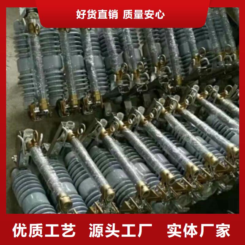 高压熔断器/RW10-12KV/100.