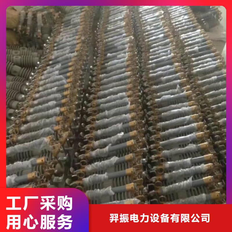 【高压熔丝具】跌落式开关RW12-10KV/100A