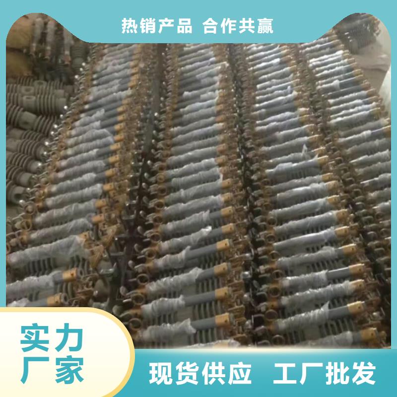 熔断器金属氧化物避雷器一周内发货