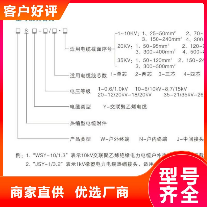 電纜中間接頭RSJY-3/3-35KV_