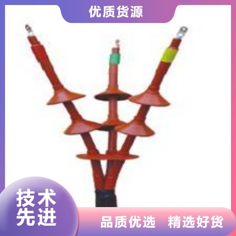 戶外熱縮電纜終端頭WSY-24/3.4_
