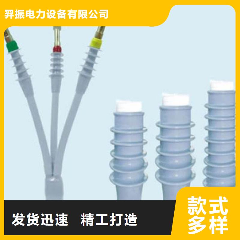 冷縮式電纜終端頭10KVLSN-1/4_