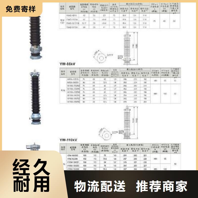 避雷器YH10CX-190/560【浙江羿振電氣有限公司】