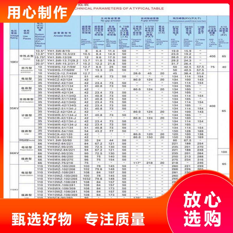 避雷器Y10W-100/260【羿振電氣】