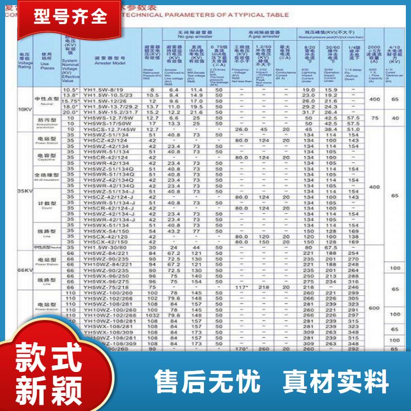 避雷器Y10W-200/496