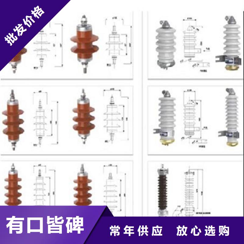 避雷器HY5CX4-69/198【羿振電氣】