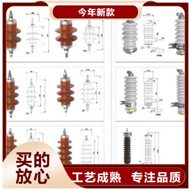 避雷器Y10W5-420/942S【羿振電力】