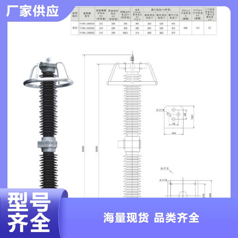 復合外套氧化鋅避雷器YH10WZ-51/134G.