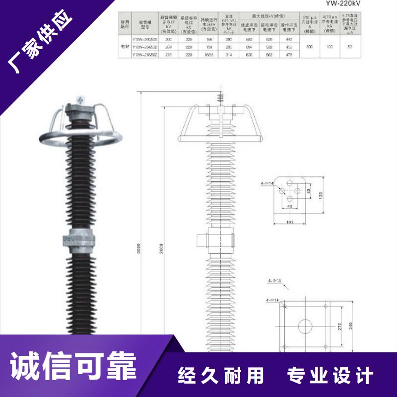 氧化鋅避雷器Y10W5-116/302廠家現貨