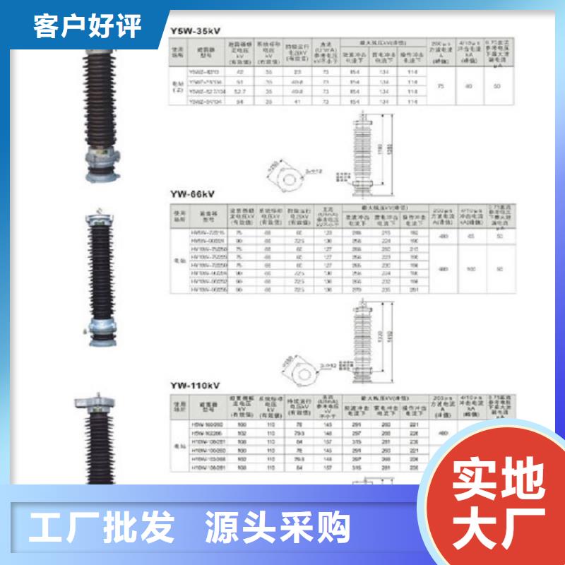 金屬氧化物避雷器Y10W-108/281浙江羿振電氣有限公司