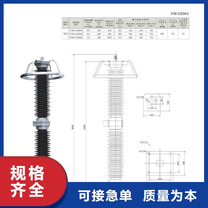 YH10WS-100/260