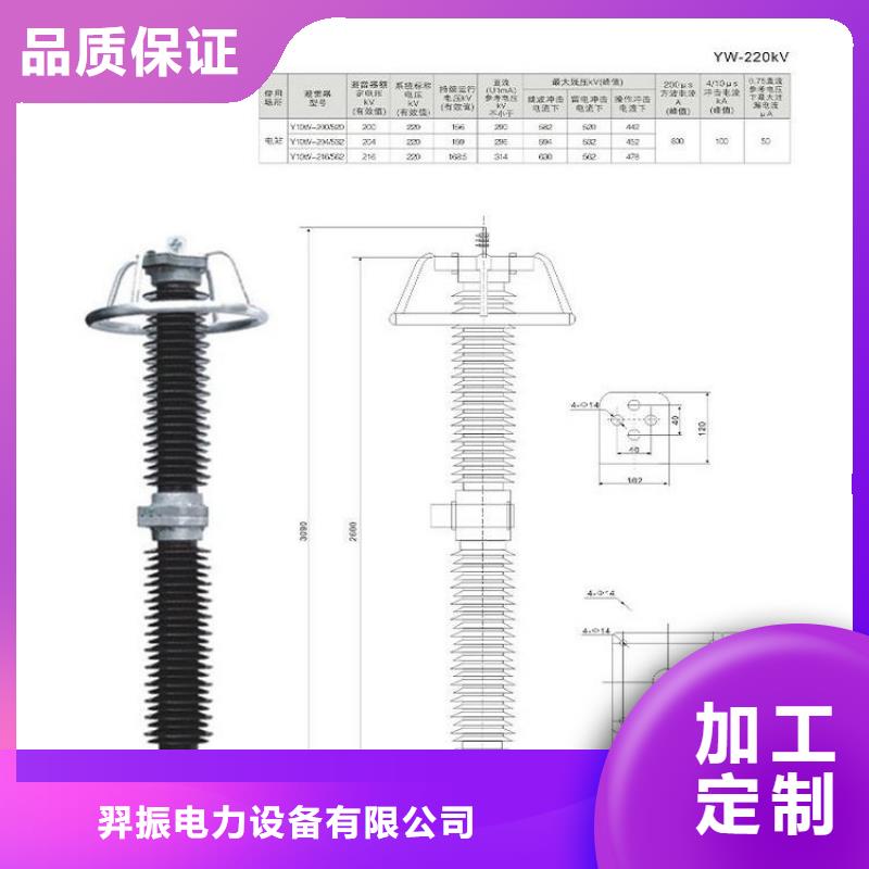 避雷器YH5WX5-15/45.6浙江羿振電氣有限公司