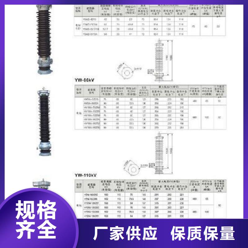 氧化鋅避雷器Y10WZ-92/232【上海羿振電力設備有限公司】