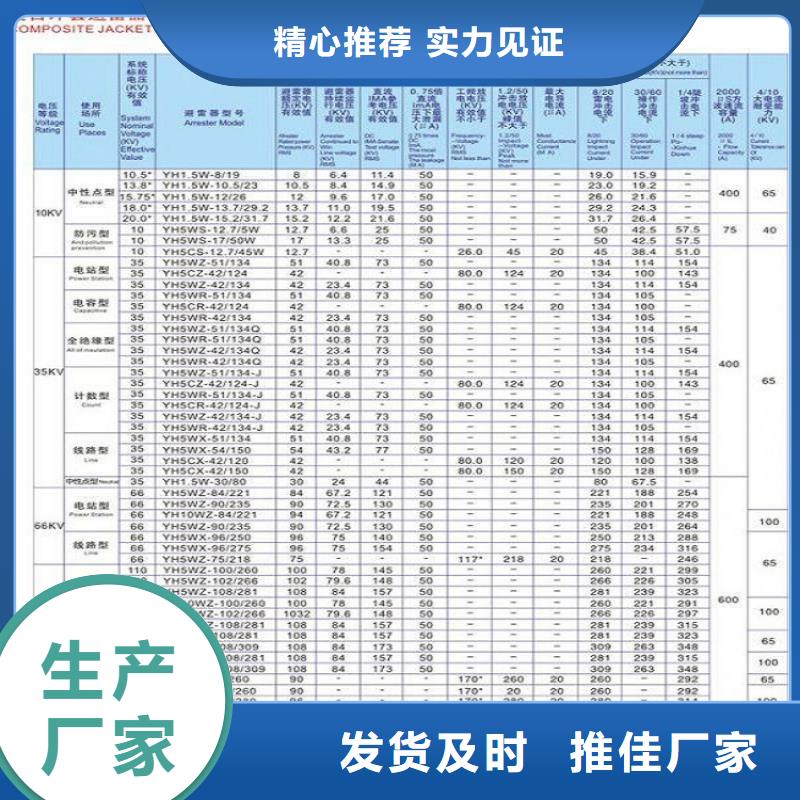 氧化鋅避雷器YH5WZ2-52.7/134型號齊全