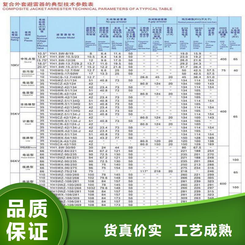 氧化鋅避雷器Y10W5-116/302GY