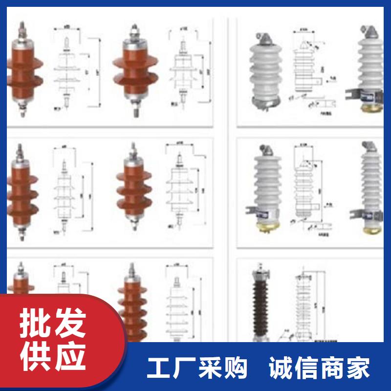 避雷器YH10CX5-102/266，放電計數器