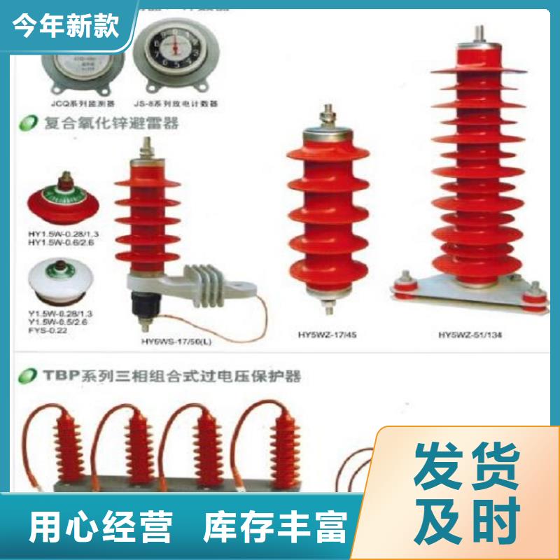 避雷器YIW-7.6/19.